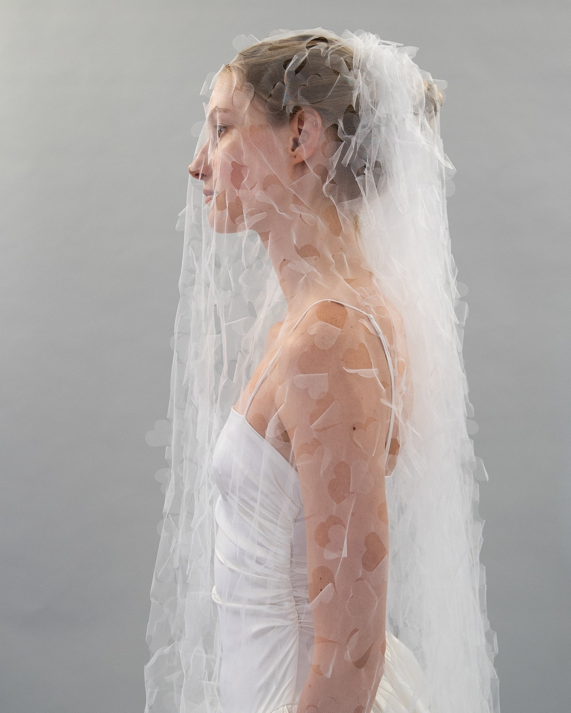 HEART TRAIN VEIL